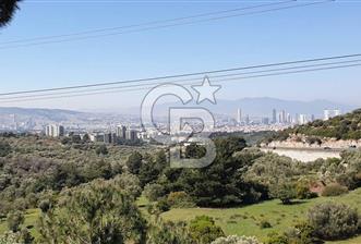 Bornova Erzene’de Merkeze Yakın, Konumu Mükemmel 8 Dönüm Satılık Zeytinlik  - 10 - 346284