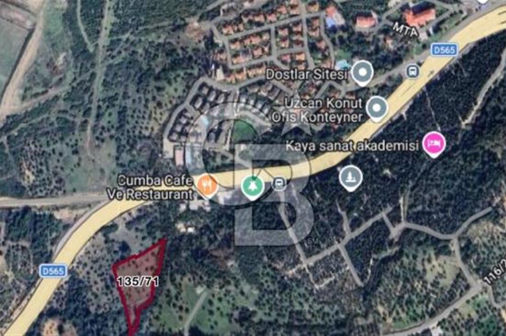 Bornova Erzene’de Merkeze Yakın, Konumu Mükemmel 8 Dönüm Satılık Zeytinlik 