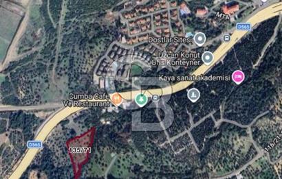 Bornova Erzene’de Merkeze Yakın, Konumu Mükemmel 8 Dönüm Satılık Zeytinlik 