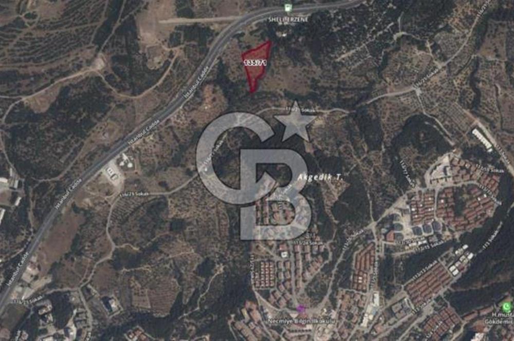 Bornova Erzene’de Merkeze Yakın, Konumu Mükemmel 8 Dönüm Satılık Zeytinlik 