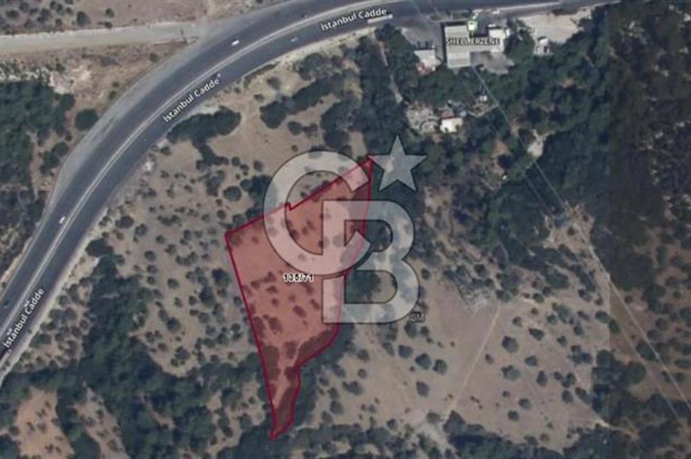 Bornova Erzene’de Merkeze Yakın, Konumu Mükemmel 8 Dönüm Satılık Zeytinlik 