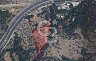 Bornova Erzene’de Merkeze Yakın, Konumu Mükemmel 8 Dönüm Satılık Zeytinlik 