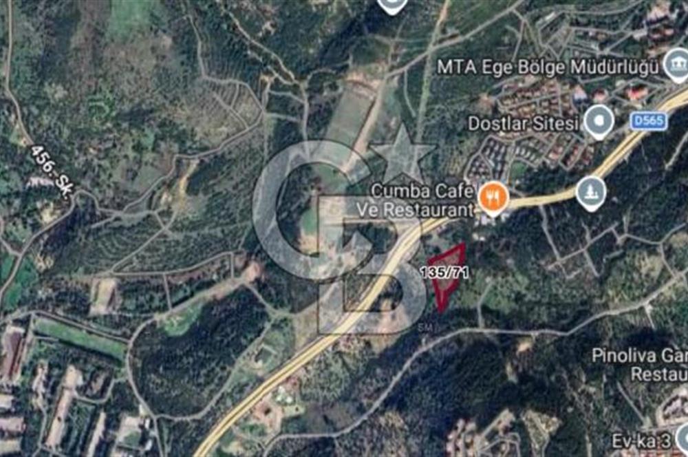 Bornova Erzene’de Merkeze Yakın, Konumu Mükemmel 8 Dönüm Satılık Zeytinlik 