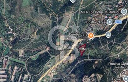 Bornova Erzene’de Merkeze Yakın, Konumu Mükemmel 8 Dönüm Satılık Zeytinlik 