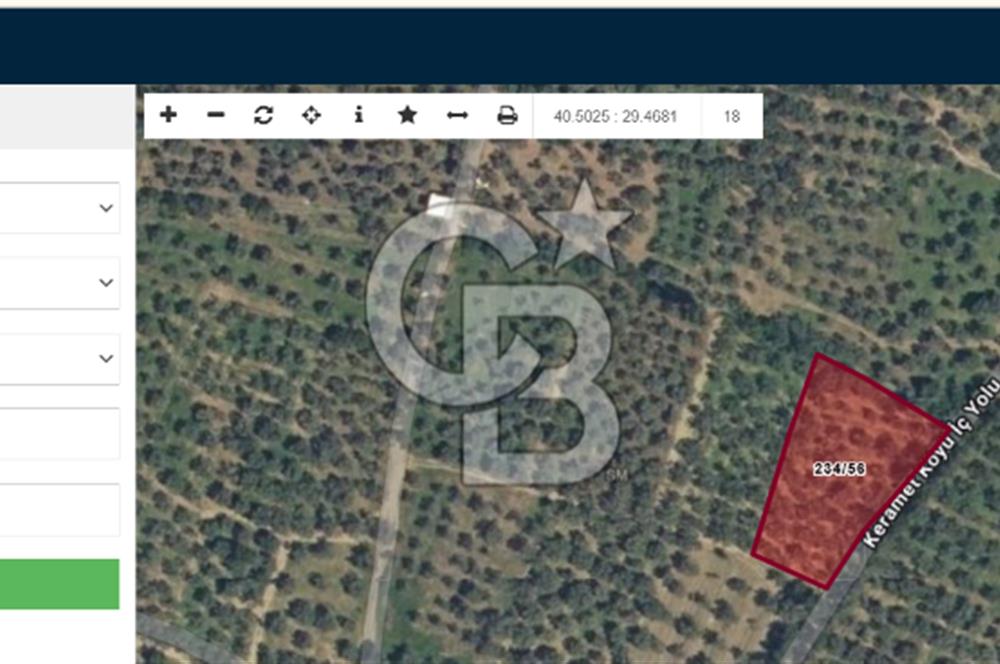 BURSA ORHANGAZİ KERAMET DE SATILIK 2032 M2 ZEYTİNLİK YOLU VAR