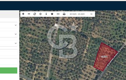BURSA ORHANGAZİ KERAMET DE SATILIK 2032 M2 ZEYTİNLİK YOLU VAR