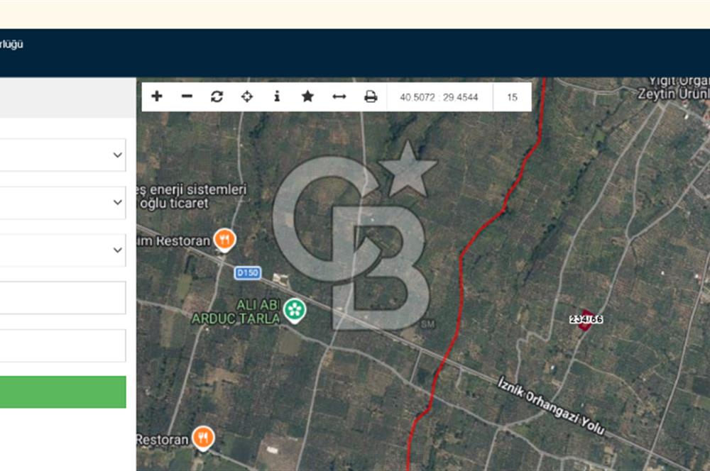 BURSA ORHANGAZİ KERAMET DE SATILIK 2032 M2 ZEYTİNLİK YOLU VAR