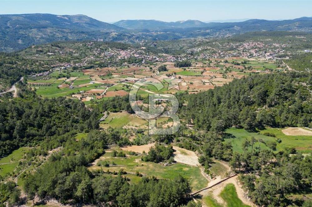 Muğla Menteşe Denizova'da Satılık 1.366 Metre Kare Tarla