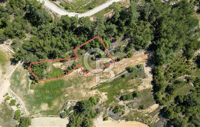 Muğla Menteşe Denizova'da Satılık 1.366 Metre Kare Tarla