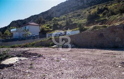 Muğla Menteşe Zeytin Satılık 8 Milyon TL Konut İmarlı Arsa