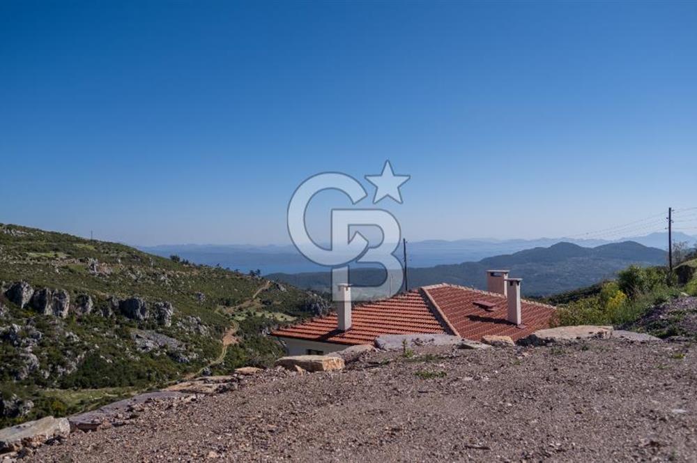 Muğla Menteşe Zeytin Satılık 8 Milyon TL Konut İmarlı Arsa