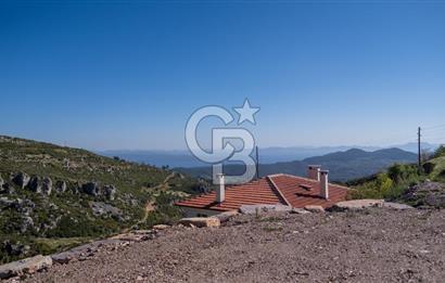 Muğla Menteşe Zeytin Satılık 8 Milyon TL Konut İmarlı Arsa