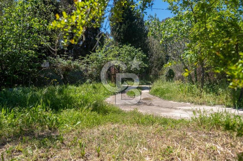 Gökova'da Satılık 80 Milyon TL Villa İmarlı Arsa