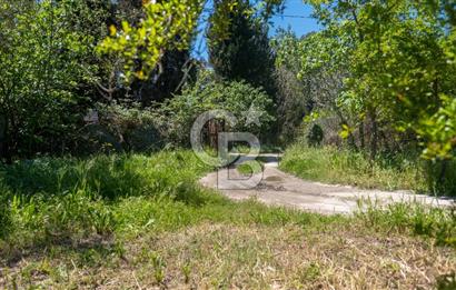 Gökova'da Satılık 80 Milyon TL Villa İmarlı Arsa