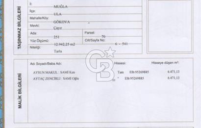 Gökova'da Satılık 80 Milyon TL Villa İmarlı Arsa
