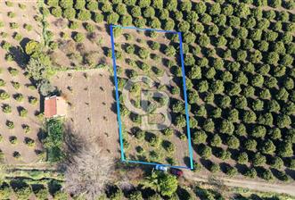 Köyceğiz Beyobası Satılık 3.050.000 TL Yatırımlık Tarla - 4 - 346360