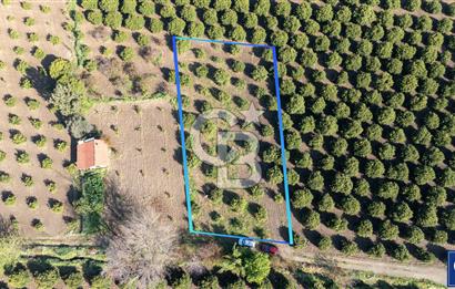 Köyceğiz Beyobası Satılık 3.050.000 TL Yatırımlık Tarla