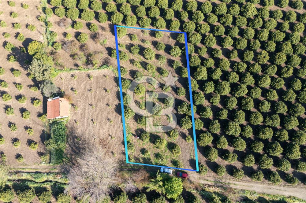 Köyceğiz Beyobası Satılık 3.050.000 TL Yatırımlık Tarla