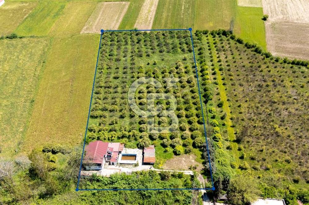 Gökova'da Satılık 80 Milyon TL Villa İmarlı Arsa