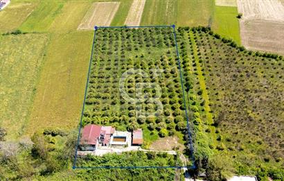 Gökova'da Satılık 80 Milyon TL Villa İmarlı Arsa