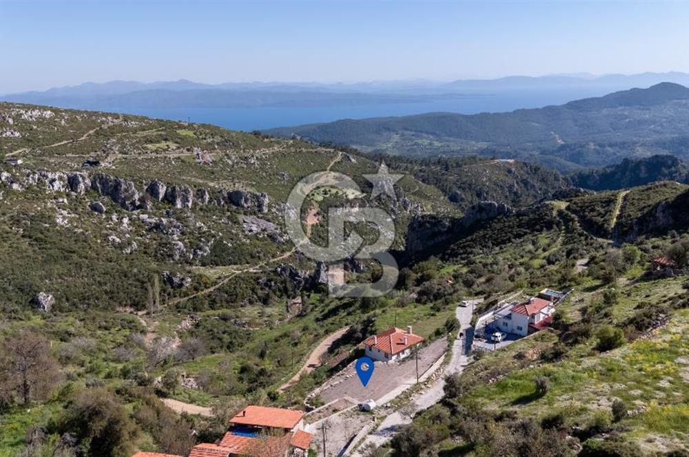 Muğla Menteşe Zeytin Satılık 8 Milyon TL Konut İmarlı Arsa