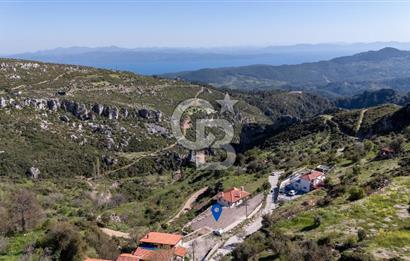 Muğla Menteşe Zeytin Satılık 8 Milyon TL Konut İmarlı Arsa