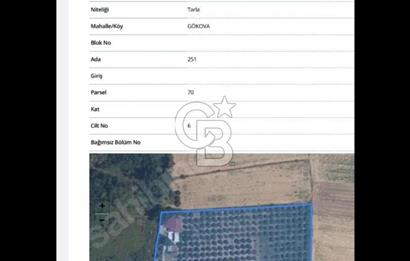 Gökova'da Satılık 80 Milyon TL Villa İmarlı Arsa