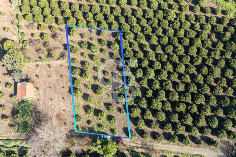 Köyceğiz Beyobası Satılık 3.050.000 TL Yatırımlık Tarla