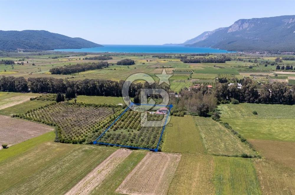 Gökova'da Satılık 80 Milyon TL Villa İmarlı Arsa