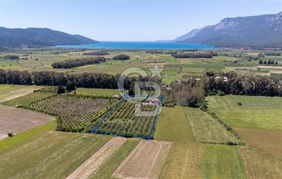 Gökova'da Satılık 80 Milyon TL Villa İmarlı Arsa