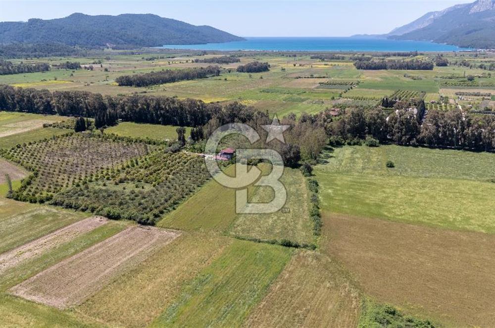 Gökova'da Satılık 80 Milyon TL Villa İmarlı Arsa