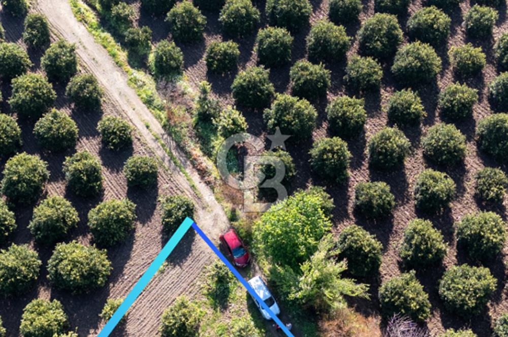 Köyceğiz Beyobası Satılık 3.050.000 TL Yatırımlık Tarla