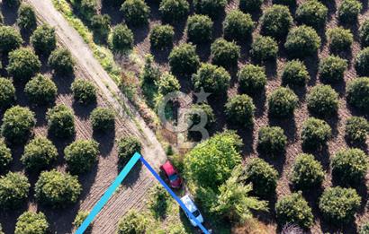 Köyceğiz Beyobası Satılık 3.050.000 TL Yatırımlık Tarla