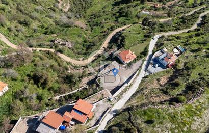 Muğla Menteşe Zeytin Satılık 8 Milyon TL Konut İmarlı Arsa