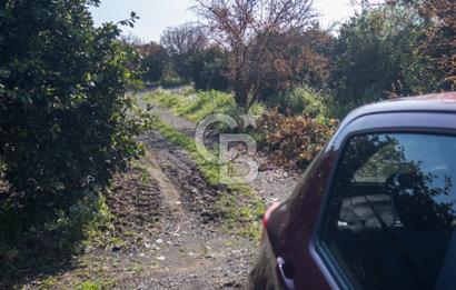 Köyceğiz Beyobası Satılık 3.050.000 TL Yatırımlık Tarla