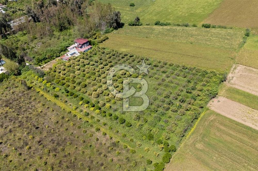 Gökova'da Satılık 80 Milyon TL Villa İmarlı Arsa