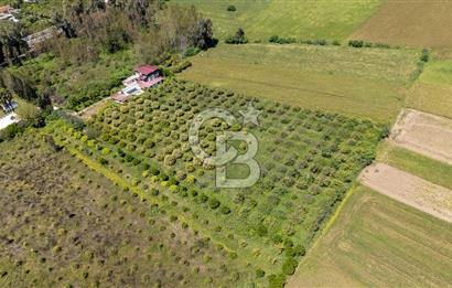 Gökova'da Satılık 80 Milyon TL Villa İmarlı Arsa