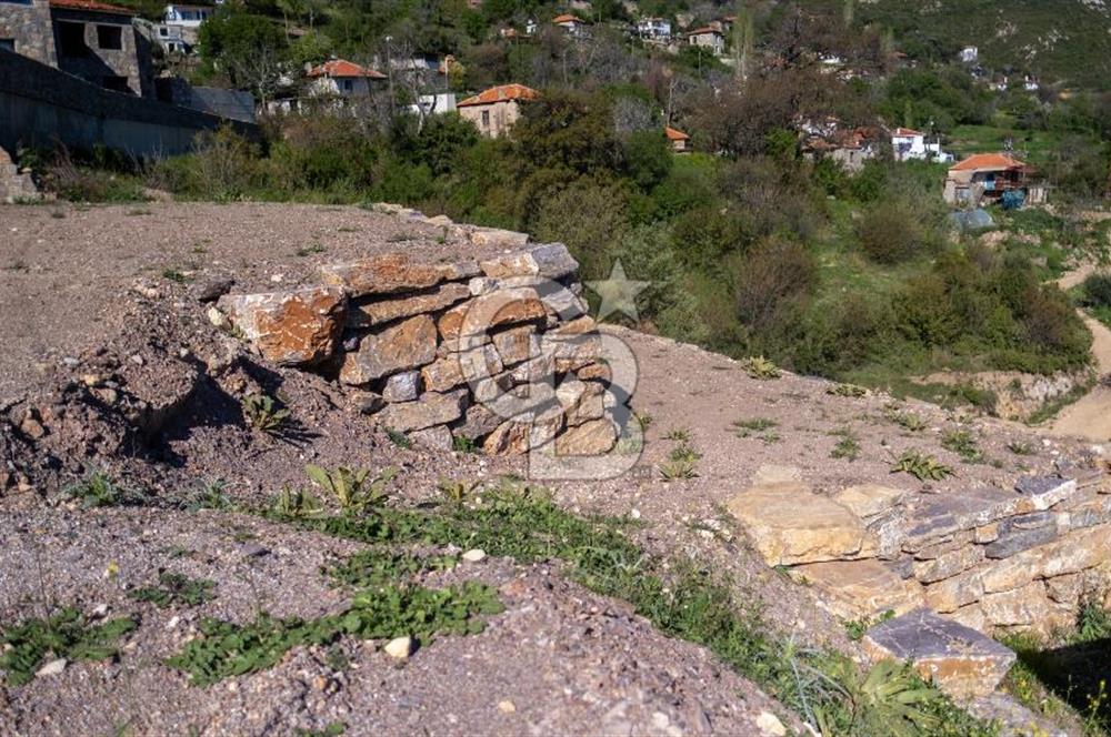 Muğla Menteşe Zeytin Satılık 8 Milyon TL Konut İmarlı Arsa