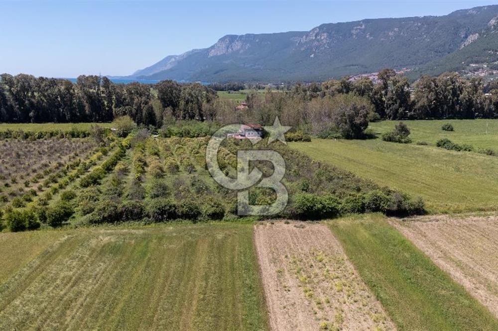 Gökova'da Satılık 80 Milyon TL Villa İmarlı Arsa