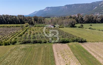 Gökova'da Satılık 80 Milyon TL Villa İmarlı Arsa