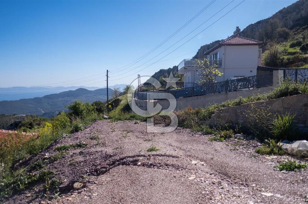 Muğla Menteşe Zeytin Satılık 8 Milyon TL Konut İmarlı Arsa