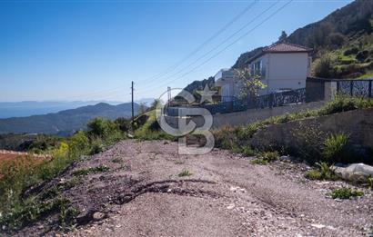 Muğla Menteşe Zeytin Satılık 8 Milyon TL Konut İmarlı Arsa