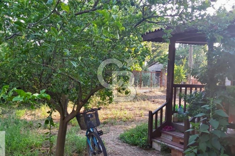 Ortaca Okçular'da Altyapılı Satılık Doğa Manzaralı AHŞAP EVİ OLAN Bahçe 