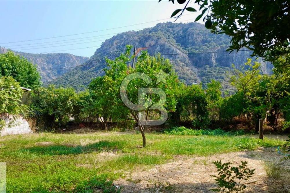 Ortaca Okçular'da Altyapılı Satılık Doğa Manzaralı AHŞAP EVİ OLAN Bahçe 