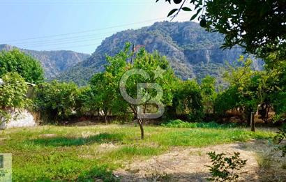 Ortaca Okçular'da Altyapılı Satılık Doğa Manzaralı AHŞAP EVİ OLAN Bahçe 