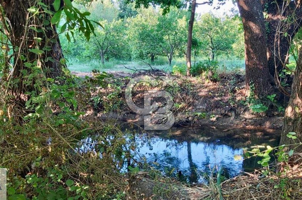 Ortaca Okçular'da Altyapılı Satılık Doğa Manzaralı AHŞAP EVİ OLAN Bahçe 