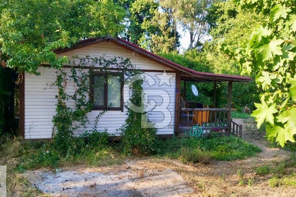 Ortaca Okçular'da Altyapılı Satılık Doğa Manzaralı AHŞAP EVİ OLAN Bahçe 