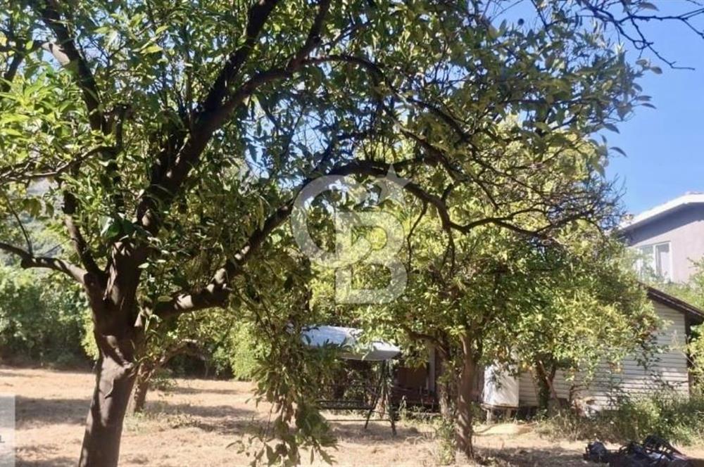 Ortaca Okçular'da Altyapılı Satılık Doğa Manzaralı AHŞAP EVİ OLAN Bahçe 