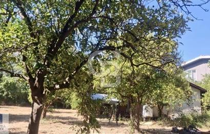 Ortaca Okçular'da Altyapılı Satılık Doğa Manzaralı AHŞAP EVİ OLAN Bahçe 