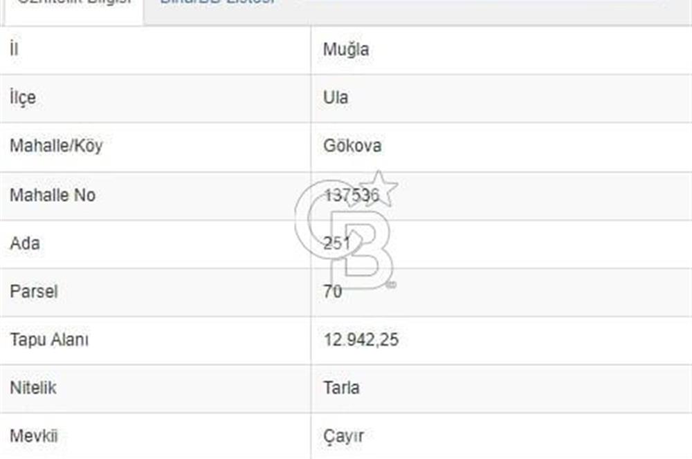 Gökova'da Satılık 80 Milyon TL Villa İmarlı Arsa